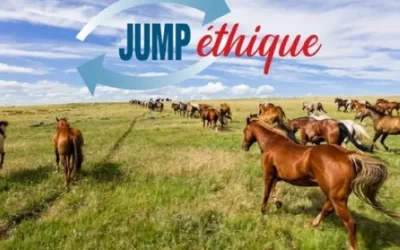 Collaboration : Jump Éthique x Horse & Show