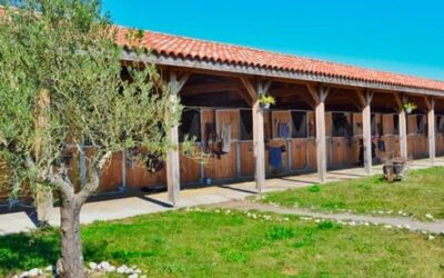 Challenge Nouvelle-Aquitaine : les écuries Alice Rueda en tête