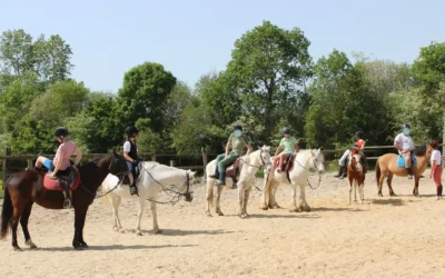 Équitation & inclusion : un projet pédagogique en classe ULIS