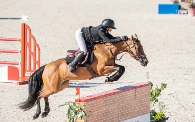 Generali Open de France 2026 : les résultats Horse & Show