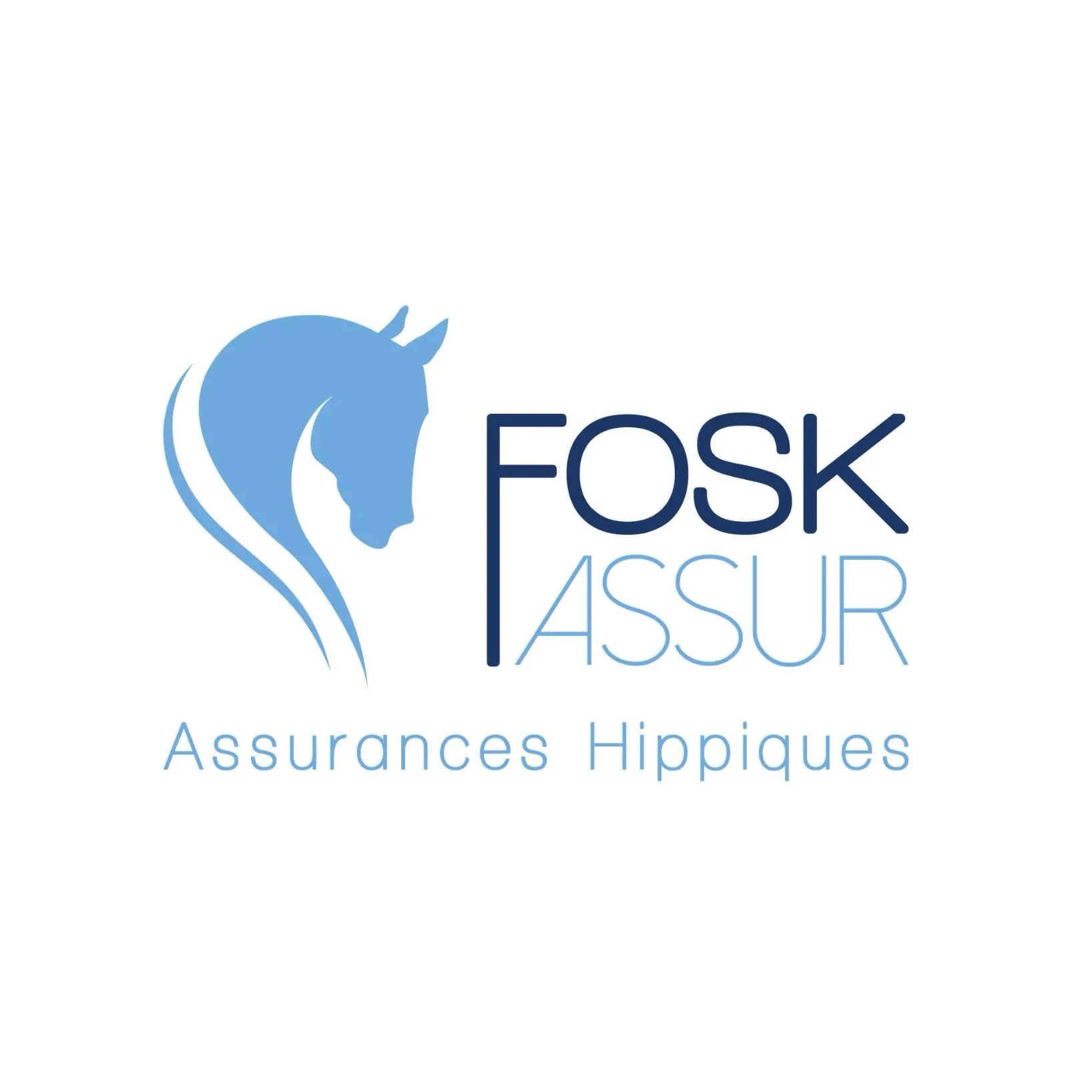 Logo Foskkassur 2017
